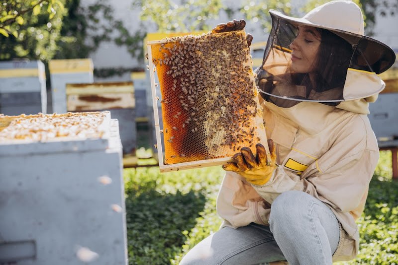 From Honeycomb To Honey Jar - The Essential Practices of Beekeeping