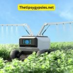 What Is Grospal? Searching for Meaning Behind the Term