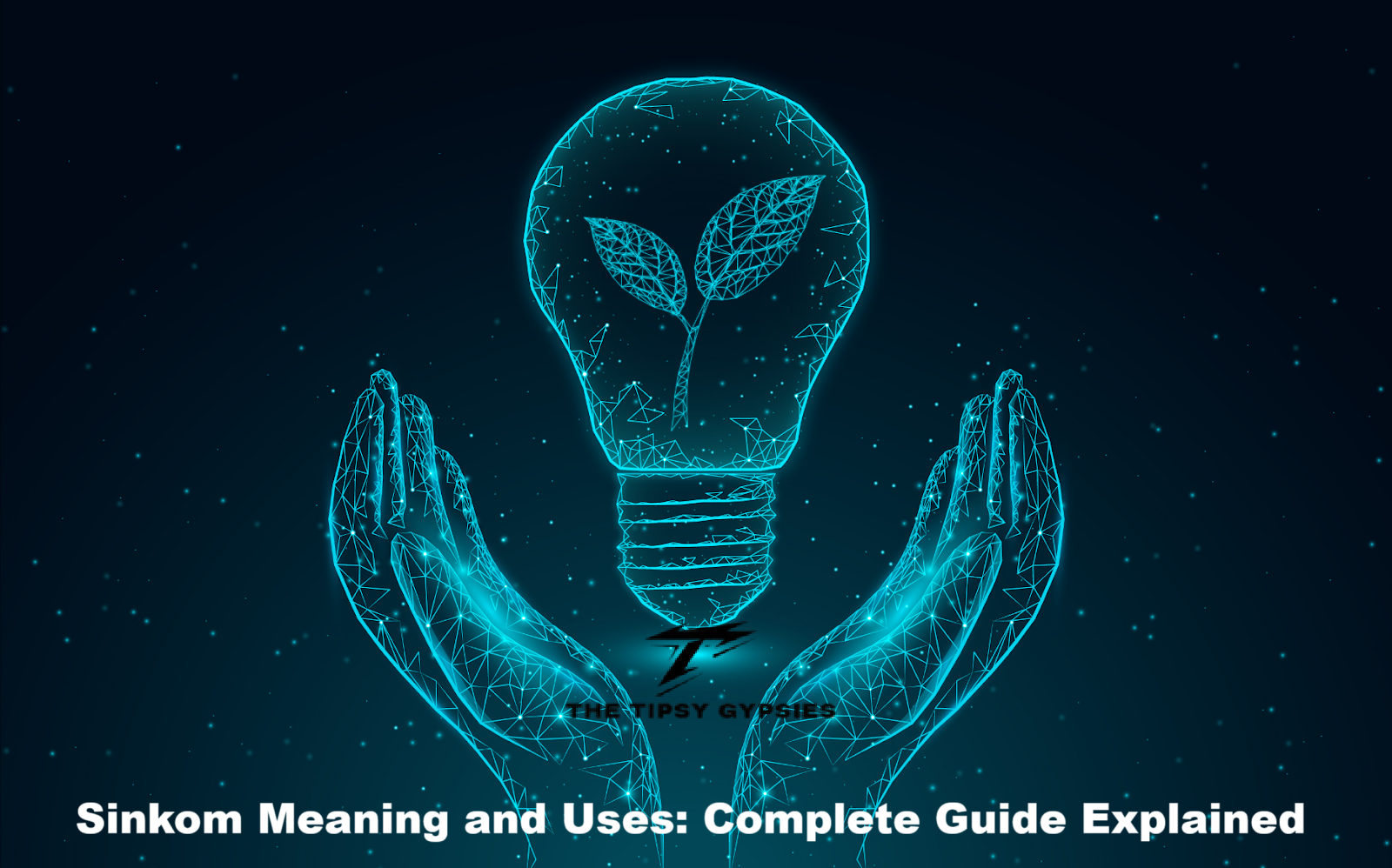 Sinkom Meaning and Uses Complete Guide Explained