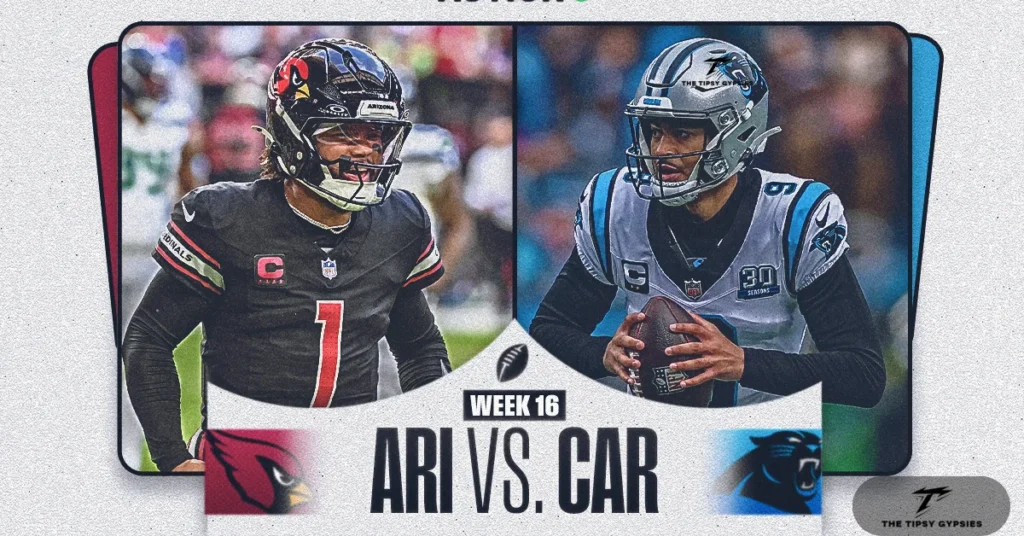 Everything about arizona cardinals vs carolina panthers match player stats