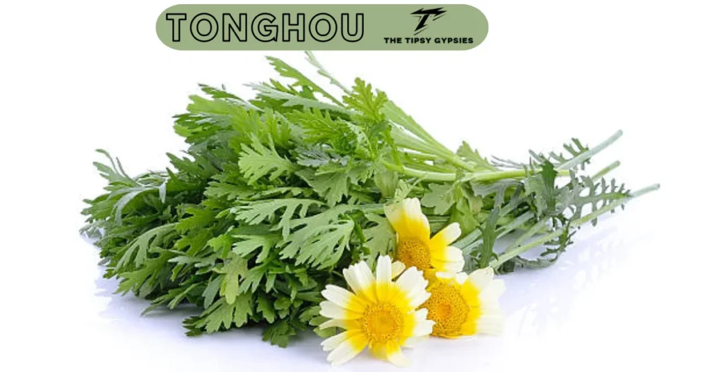 Tonghou Cuisine: Blending Tradition and Authentic Chinese Flavors