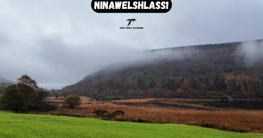 NinaWelshlass1: Leading the Evolution of Visual and Scripted Storytelling