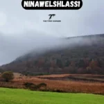 NinaWelshlass1: Leading the Evolution of Visual and Scripted Storytelling