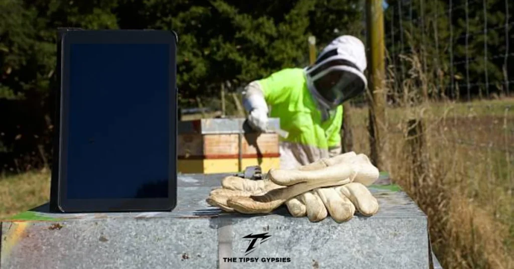 Beekeeper 2.0: Building a Sustainable Future for Full-Time Users