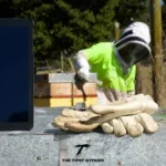 Beekeeper 2.0: Building a Sustainable Future for Full-Time Users