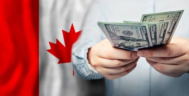 Funding For Small Business Canada Guide To Resources And Opportunities