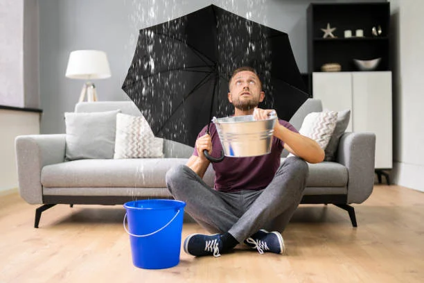 Why Fast Water Damage Cleanup Should Be Your First Move After a Leak