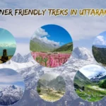Top 8 Beginner Friendly Treks in Uttarakhand