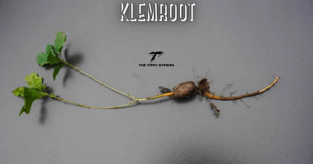 klemroot