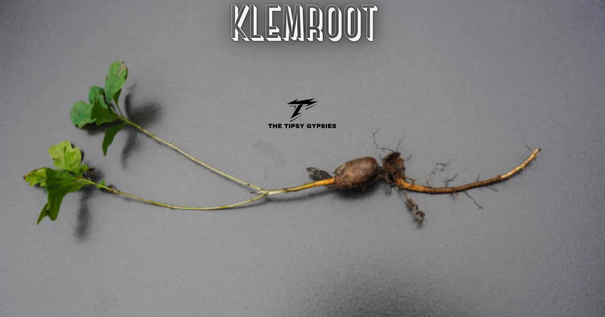 klemroot