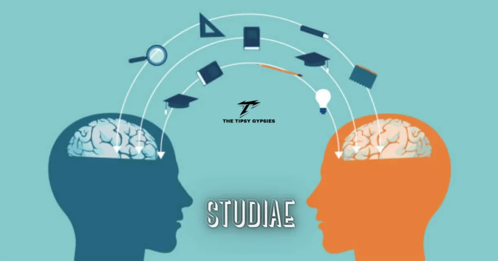 Studiae: Bridging Traditional Education with Modern Analytical Thinking