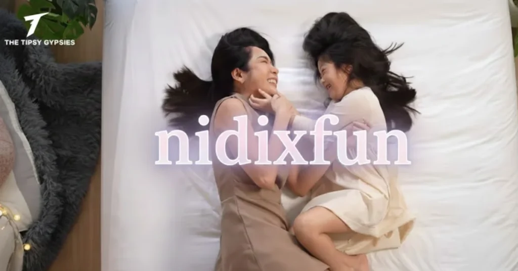 Nidixfun: The Secret to Turning Routine Into Joyful Memories