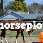 Horseplop: A Hub for Breeders, Trainers, and Horse Lovers Worldwide