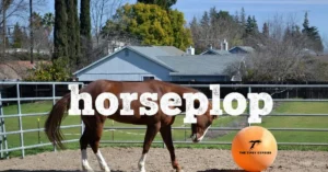 horseplop