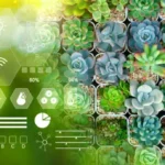 Smart Plant Choices for Cold Winters and Hot Summers