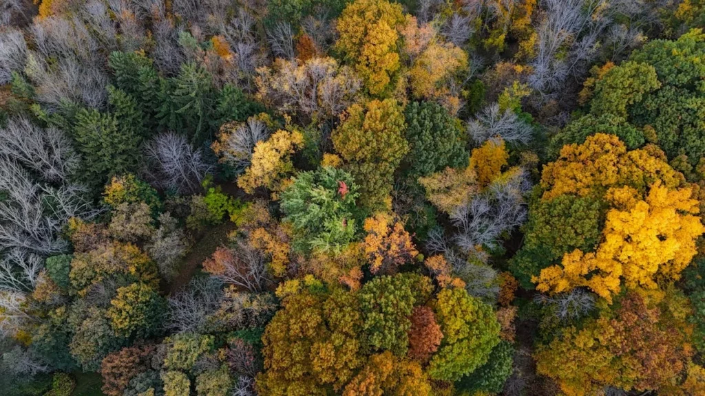 Escaping NYC: Quirky Weekend Destinations in Upstate New York and the Hamptons