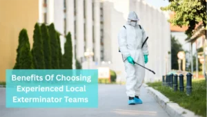Local exterminator teams