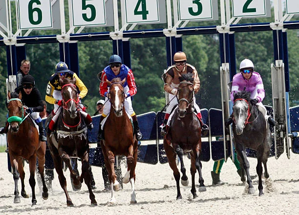 Horse Racing Bucket List