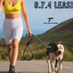 9.7.4 Leash: Bridging Educational Logic and Puzzle-Solving Mastery