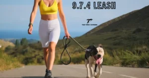 9.7.4 leash
