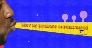 why im building capabilisense