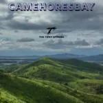 Camehoresbay: A Revolutionary Ecosystem for Scaling Modern Digital Ventures