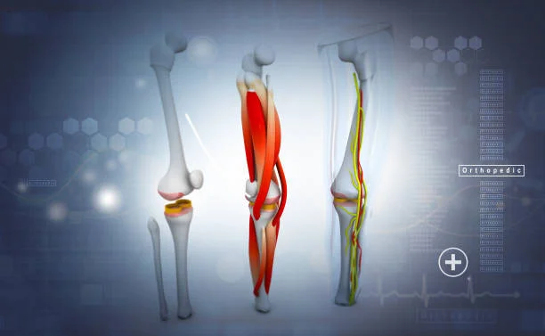 Knee Cartilage Injuries