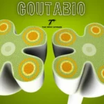 Goutabio: Dual-Action Botanical Synergy for Cellular Uric Acid and Inflammation Control